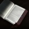 Pour la Lecture Nocturne, Lampe de Livre à Panneau Plat LED, 3 Couleurs Graduables Lumière de Lecture Transparente, Marque-page Lumineux Portable avec Minuterie