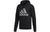 Sweatshirts Men's Black Hooded Moderate Regular FR8272