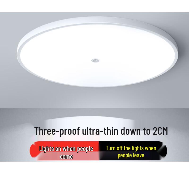 Liangtu Smart LED Motion Sensor Ceiling Light