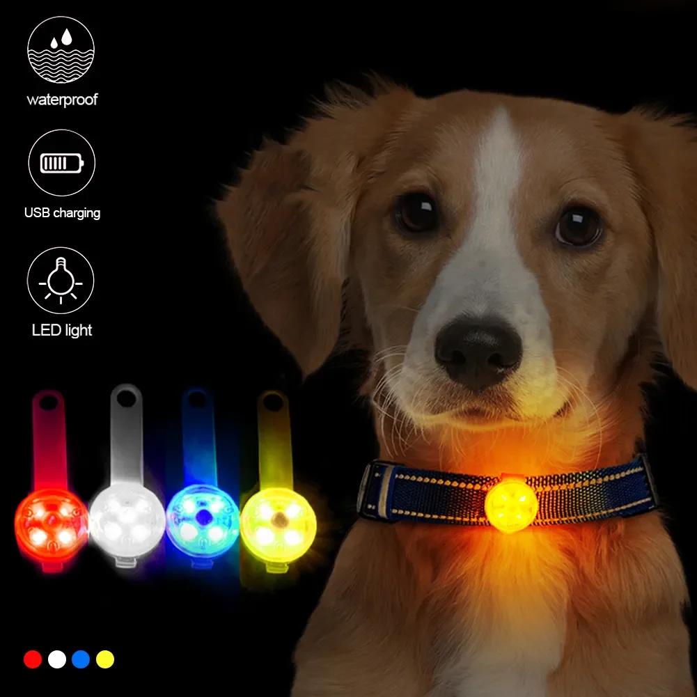 Waterproof Safety LED Flashing Light Pendant for Dogs Collars Anti-Loss USB Rechargeable Pet Safety Accessory for Dogs And Cats
