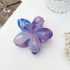 Gradient Flower Hair Accessories Set Beach Style Hairpins Flower Claw Clips Summer Flower Hairpins Hawaiian Style