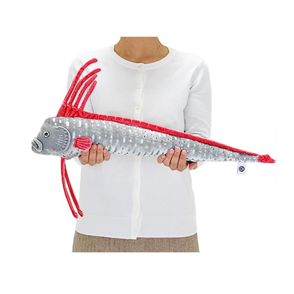 Calorata Oarfish Plush Toy (61 x 10 x 21 cm), Soft to the Touch, Realistic (Fish Plush Toy), Doll, MascotBirthday Gift (Twice Measured), Deep-Sea