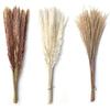 1 Bunch Dried  Reed Flowers Natural Plant Dried Pampas Grass Ornaments For Living Room Dining Tables Party Hallways Decoration