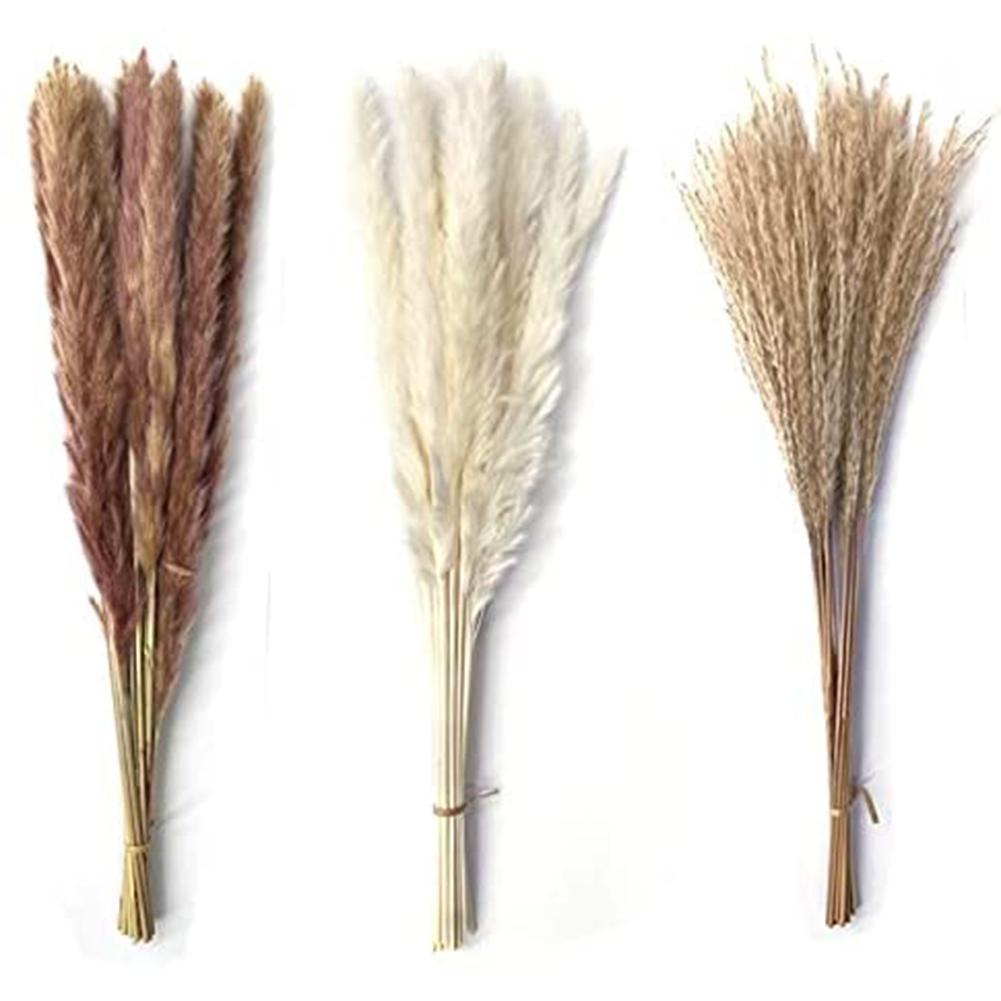1 Bunch Dried  Reed Flowers Natural Plant Dried Pampas Grass Ornaments For Living Room Dining Tables Party Hallways Decoration
