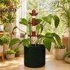 Multi-section Plant Pole Tiki Support, Multi-Section Adjustable Support Stake with Flower Pot Climbing Aid Stem Holders, Pothos for Indoor Outdoor