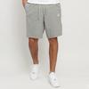 Nike Branded Swoosh Logo Shorts BV2772-063