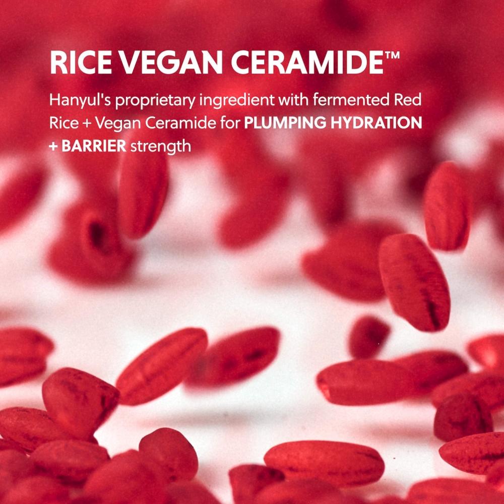 Hanyul Red Rice Hydrating Cream With Ceramide 1.86 Oz 55 Ml