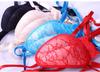 Disguise Shorts for Hidden Lower Voluptuous Lower Body Pants for Hidden JJ Abalone Shorts [DDMMQS] Men, Body, Women, (red)
