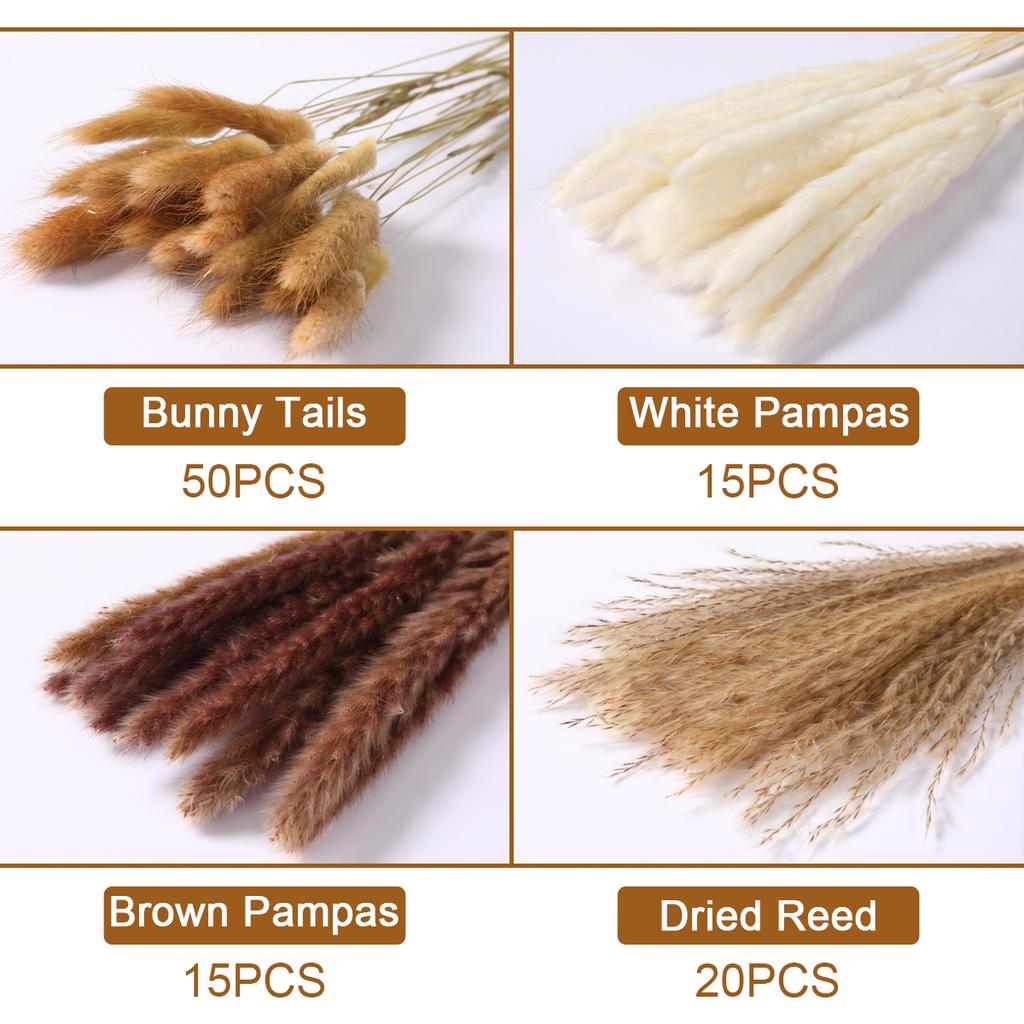 Přírodní Sušené Květiny Pampas Králičí Ocas Tráva Kytice Dekor Boho Domácí Dekorace Sušené Květiny pro Domácí Párty Svatební Dekorace