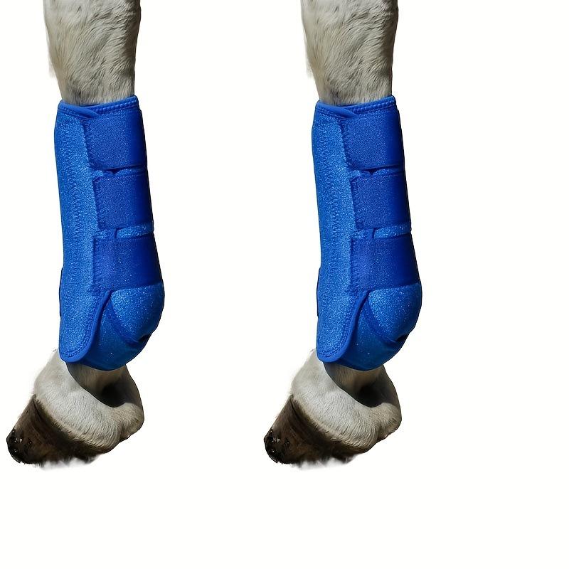 Parastinchi in Neoprene per Cavalli - Fasce Anticollisione per Corse Professionali e Articoli per la Cura Equestre