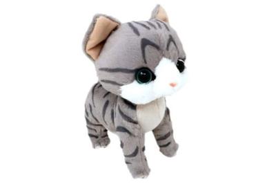 Naitou Design Institute (Naitou Design) Naitou Design Together Is Good Cat New Stuffed Animal Sabatora