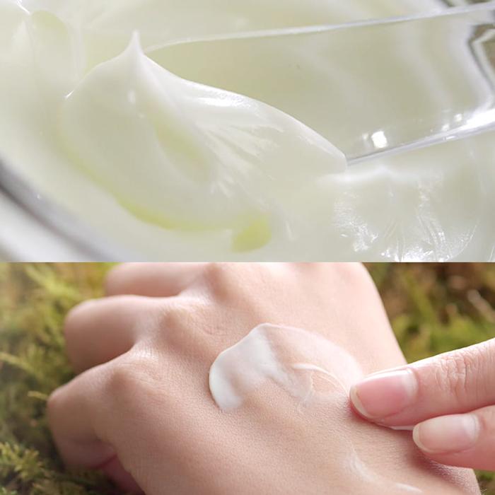 CURE Aloe Cure Intensive Aloe Barrier Relief Cream 100ml Kim Jeong Moon Aloe