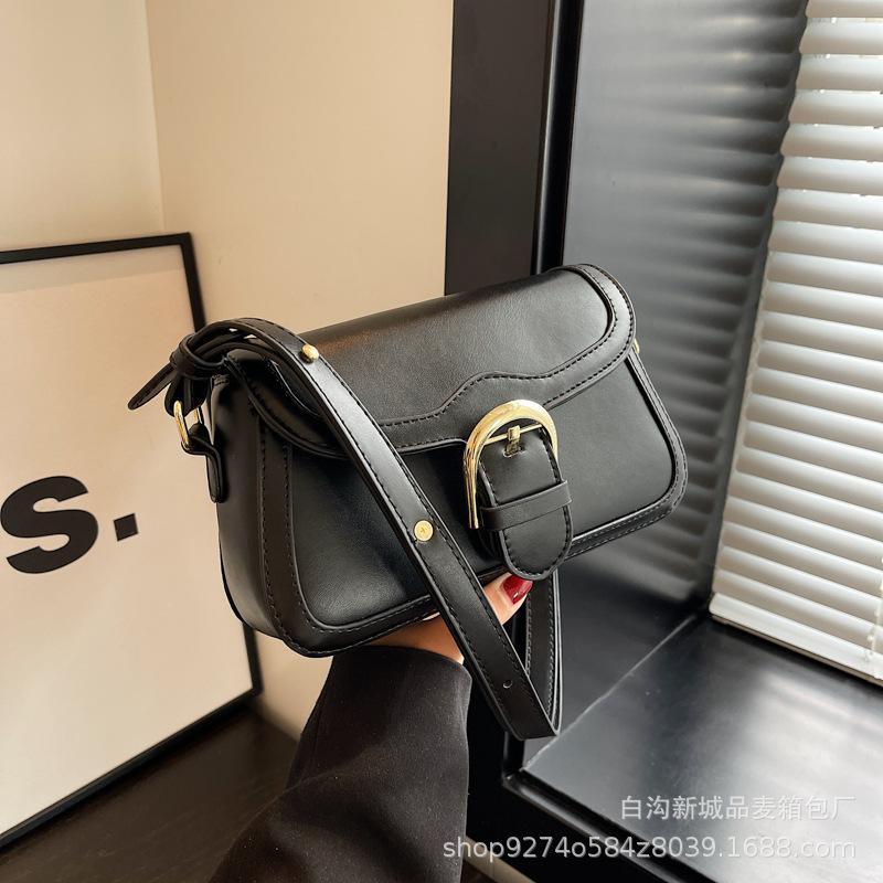 French niche popular armpit small bag women's bag 2025 new trendy shoulder bag fashionable foreign messenger bag