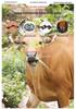 Trendy Men's Retro Cowhide Leather Belt - Genuine Casual Style for Trousers