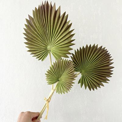 Yousheng Artificial Leaf No-Maintenance Long-Lasting Freshness Realistic Fan-Shaped Leaves High-Simulation Texture Fake Tropical Leaves Home