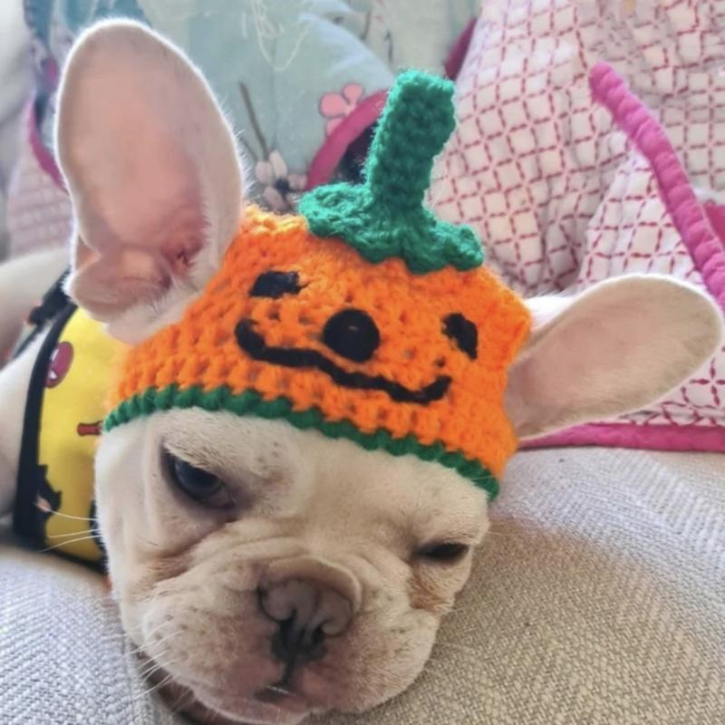 Medium Dogs Halloween Costume Hat Pet Party Hat Novelty Pumpkin Cap for Puppy