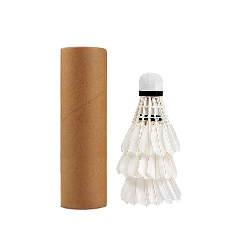 Qingmeng Saisilong Beginner Badminton Racket Kit