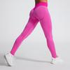 Women Seamless High Elastic Yoga Pants With Tummy Control For Running And Fitness