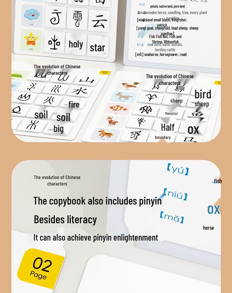 Pinwheel Chinese Character Evolution Literacy Cards for Early Education