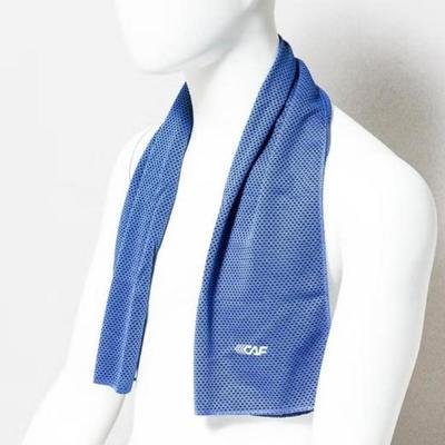 Le CAF Sports Towel Blue / Gray (30 X 90 Cm)