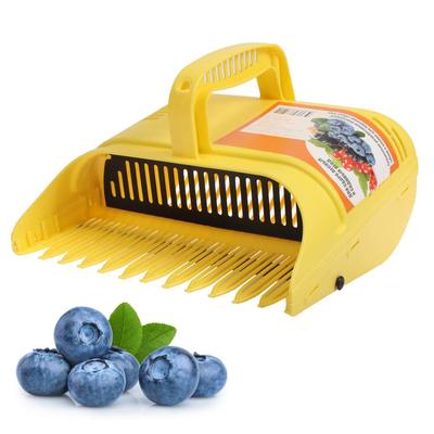 Raccoglitrice di mirtilli Strumento raccoglitrice di bacche in plastica Rastrelli per mirtilli Raccoglitrice per mirtilli Mirtilli rossi H