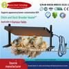 Reptile – Terarii pentru reptile