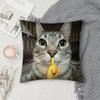 Cat Funny MEME Pillow Case Square Double-Sided Printing Short Plush Sofa Cushion Cover Bedroom Bedside Pillow