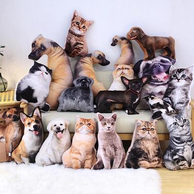 Cat & Dog Plush Toy - Corgi Chihuahua Cushion & Rag Doll