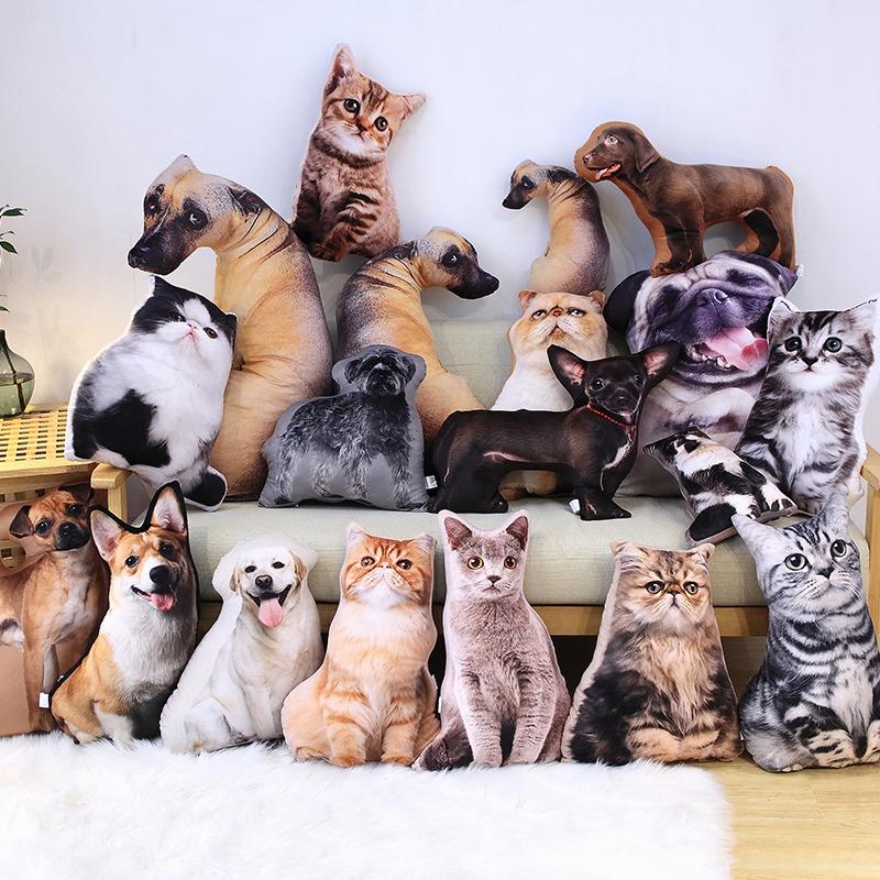 Cat & Dog Plush Toy - Corgi Chihuahua Cushion & Rag Doll