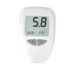 Blood glucose meter