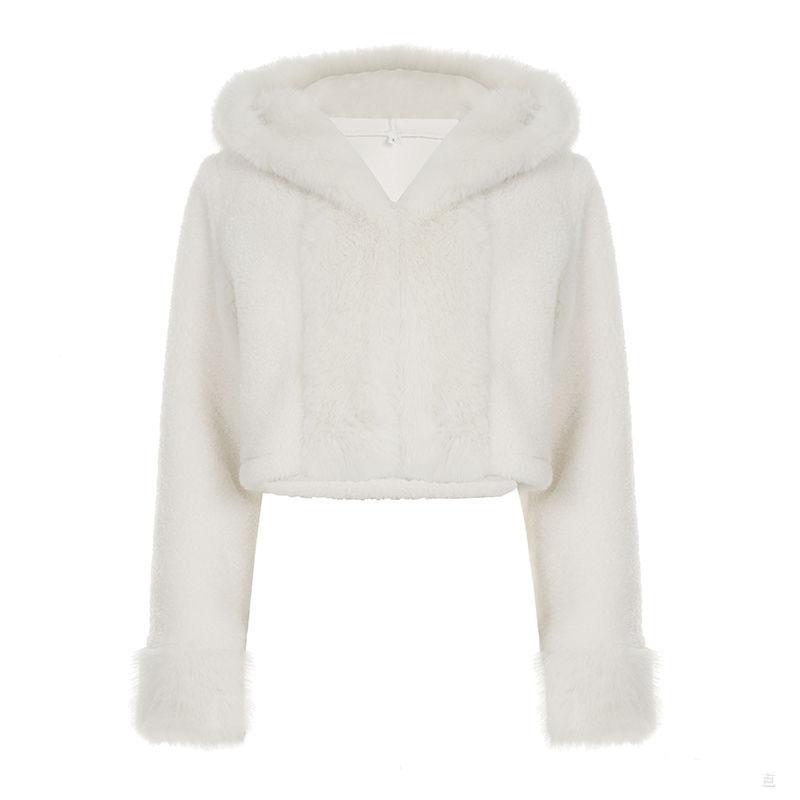 Thicken Warm Plush Jackets Female Winter Warm Short Fake Fur Coat for Women Casual Outwear Hooded Coat 2025
