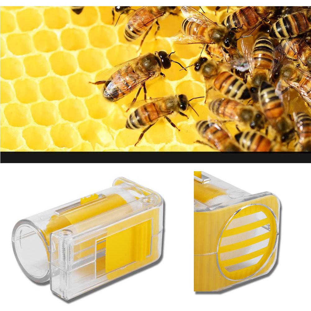 Marqueur de Reine d'Abeille Catcher Plastique Une Main Bouteille Marqueur Piston Peluche Outil Apiculteur