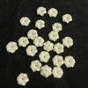 30Pcs, Artificial Coral Loose Beads With Hole, 12mm, Fashion Handmade Flower Beads for Jewelry Making DIY Necklace Accessories, Mother's Day Gifts
