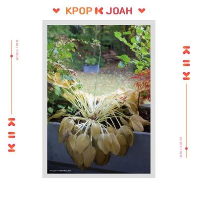 [DURCH LIEBE] 5. Studioalbum