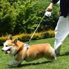 Yousheng Retractable Dog Leash with LED Light 10Ft 16Ft Nylon Tape Dog Lead with Ergonomic Handle One-Button Control Tangle-Free Leash for Small