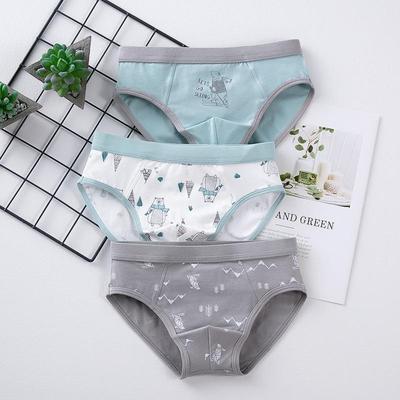 "50-Pack Boys Cartoon Cotton Boxer Briefs - Kids Underwear"
