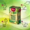 Celest Green Tea Ginger Mint Lemon | 100 Tea Bags X Pack of 3 | Refreshing Weight Management Beverage