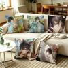 AAyn Alwyn Lovebrush Chronicles Character  Pillow Case Square DoubleSided Sofa Cushion Cover Bedroom Bedside Pillow