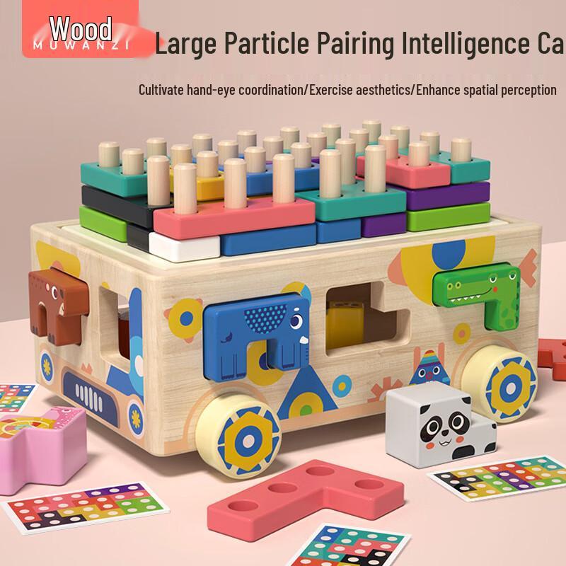 Wooden Shape Sorter Puzzle Activity Car