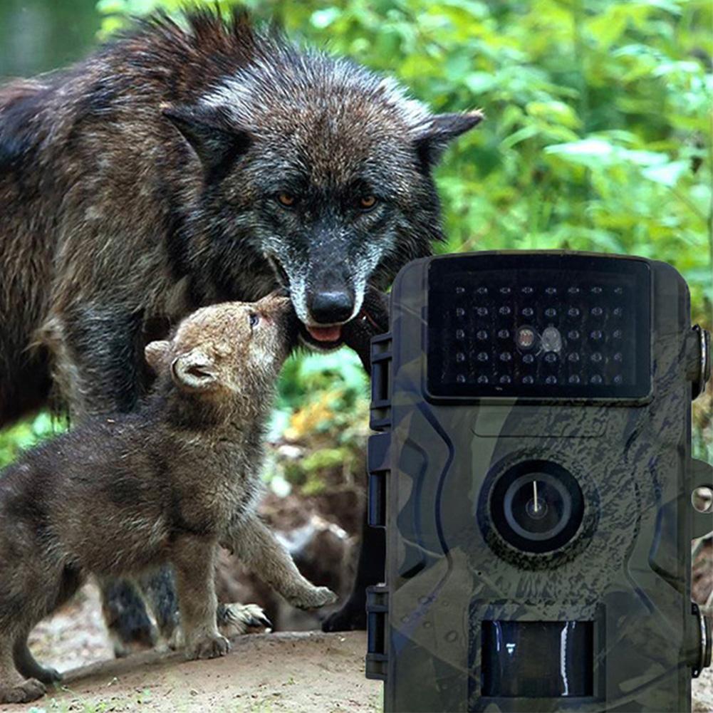 Hunting Trail Camera Motion Activated Infrared Night Vision Security Cam Animal Observation Camera for Scouting Hunting