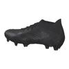 Adidas Predator FG Accuracy.1