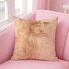 PPiero Da Vincis Cushion Cover Pillow Case Ultra Soft Skin Friendly Fabric Cloud Like Comfort  Concealed Zipper