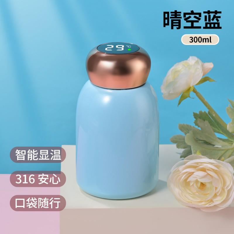 Stainless Steel Vacuum Insulated Travel Mug 300ml Portable Mini Cup Women Men Kids Office Outdoor