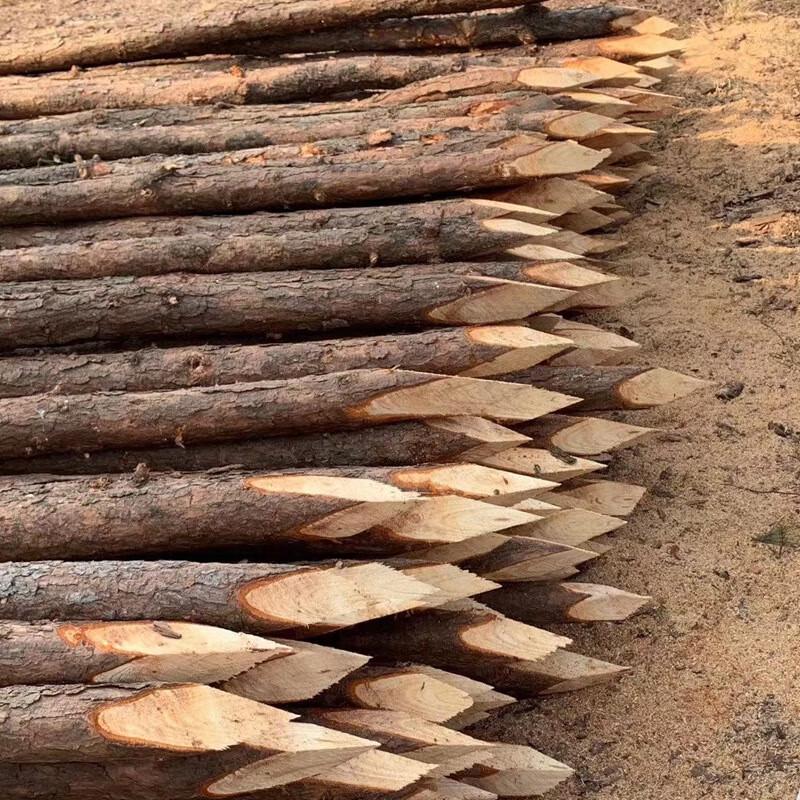 Sharpened Wood Landscape Stakes