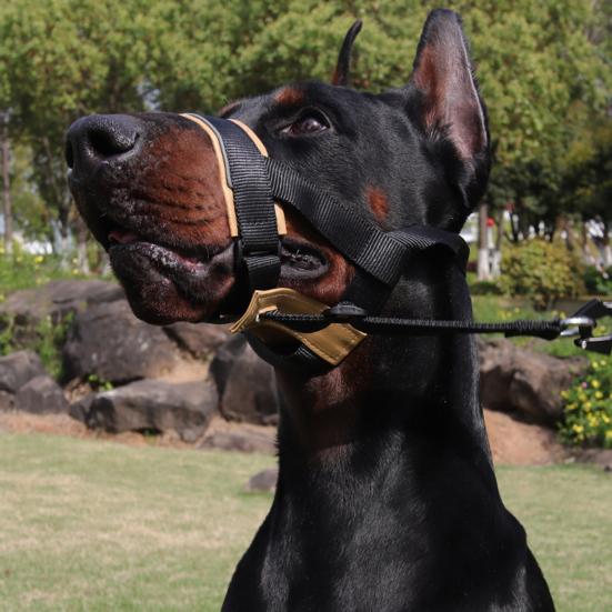 No-Pull Dog Head Collar Adjustable Dog Head Halter with Padded Nose