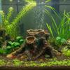 Aquarium Landschaft Harz Treibholz Fischbecken Ornament Aquarium Pflanze Aquarium Zubehör Landschaft Dekoration für Fischbecken