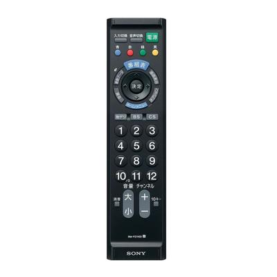 Sony TV-Fernbedienung RM-PZ110D Schwarz (Nur für digitales Fernsehen)