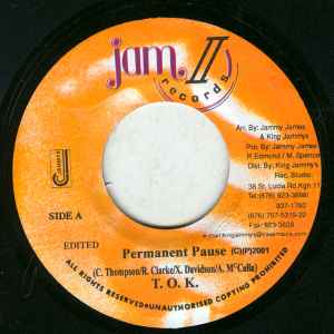 

7inch Record T.O.K. - Permanent Pause NONE Jam II Records 2001 Jamaica Reggae, Ska & Dub Used