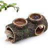 Répteis – Terrários de répteis
