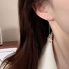 Silver Needle Elegant Diamond-encrusted Long Fringed Earrings Niche Temperament Versatile Earrings Simple Light Luxury High-end Earrings Women